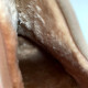 Кросівки Solid Path Beige З ХУТРОМ